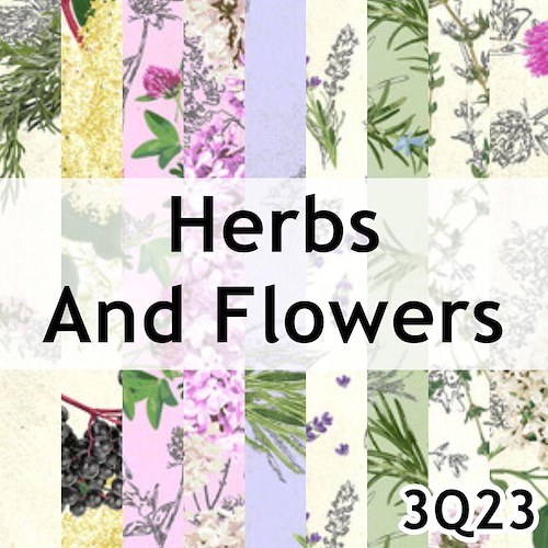Herbs And Flowers